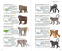 Mammals of China 2020